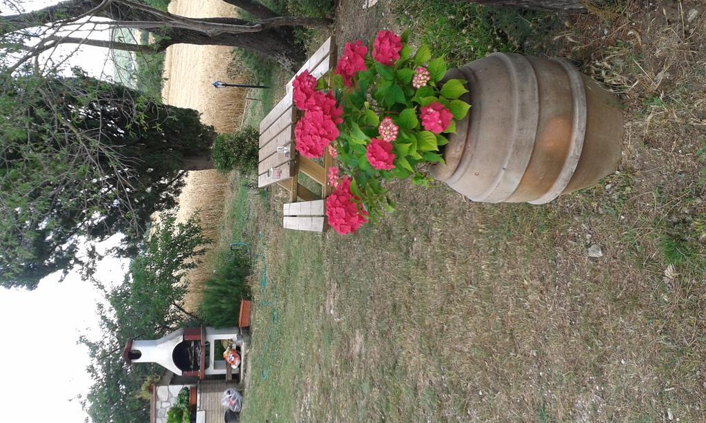 Agriturismo Le Stiacce ساتورنيا المظهر الخارجي الصورة